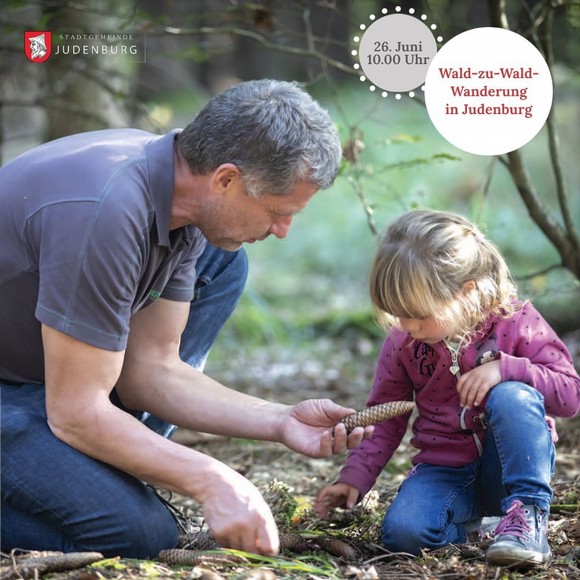 Wald-zu-Wald-Wanderung