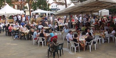 Guter Besuch beim Bierfest - Fotos: Werner Haubenhofer Guter Besuch beim Bierfest - Fotos: Werner Haubenhofer